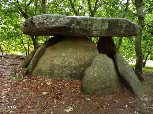 Dolmen-de-Axeitos F1-Oleiros-Ribeira A Coruña Galicia
