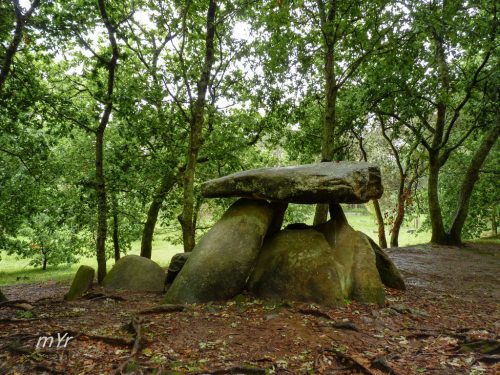 Dolmen-de-Axeitos F2-Oleiros-Ribeira A Coruña Galicia