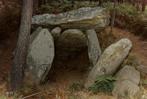 Dolmen de Pedra d arca F2 Cerqueda A Coruña Galicia