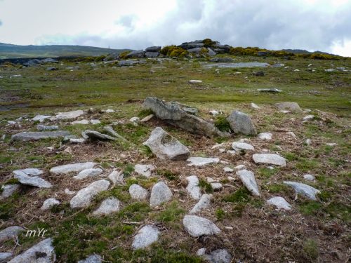 Mamoa-de-Pedra-da-Xesta-San-Andrés-de-Cures-Boiro-A-Coruña Galicia