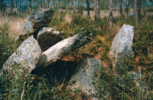 Pedra Vixía Zas A Coruña Galicia