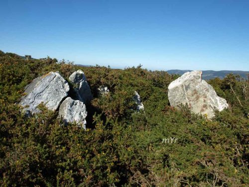 Anta de Penacova  - Ribeira de Piquin - Lugo Galicia