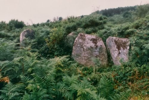 Dolmen Capela dos Mouro Villalba Lugo Galicia