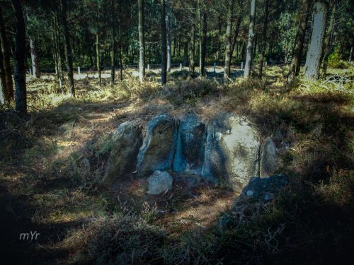 Dolmen Chao de Mazos  Begonte Lugo Galicia