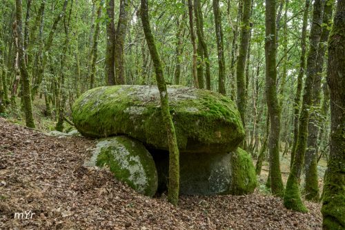 Dolmen Leira da Rapada Saviñao Lugo Galicia