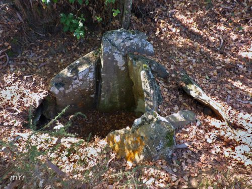 Dolmen Roza das Modias Alba Vilalba Lugo Galicia