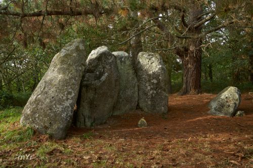 Dolmen de Abuime F1 O Saviñao Lugo Galicia