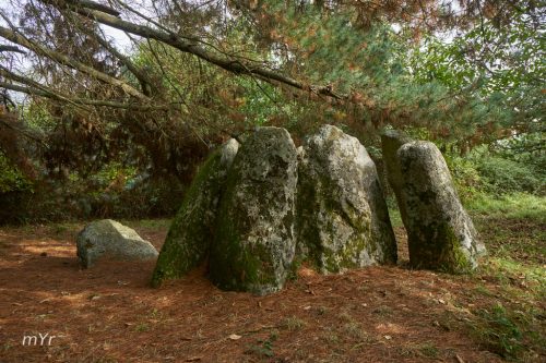 Dolmen de Abuime F2 O Saviñao Lugo Galicia
