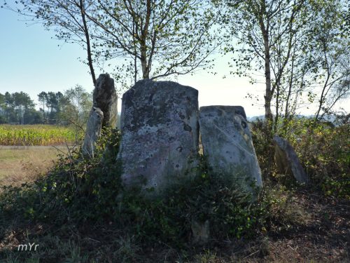 Dolmen-de-Mollafariña Cazás Xermade Lugo Galicia
