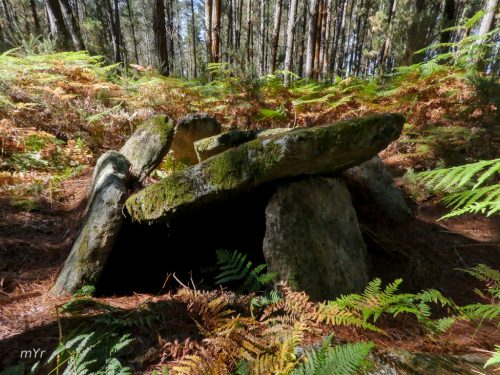 Dolmen de Vilalvite Friol Lugo Galicia
