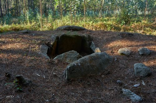 Mamoa de Acevedo  Martul Outeiro de Rei Lugo Galicia