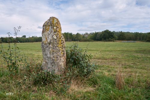 Menhir Pedra Chantada Vilalba Lugo Galicia