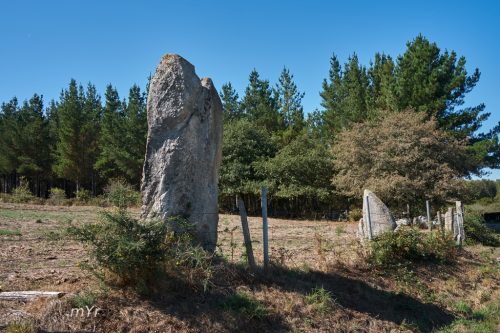 Menhir das Cazolas F1 Seren Friol Lugo Galicia