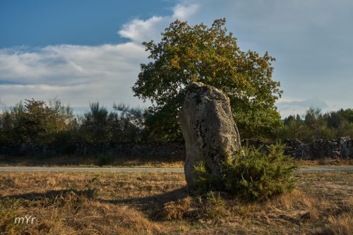Menhir o marco Castrodá Lugo Galicia