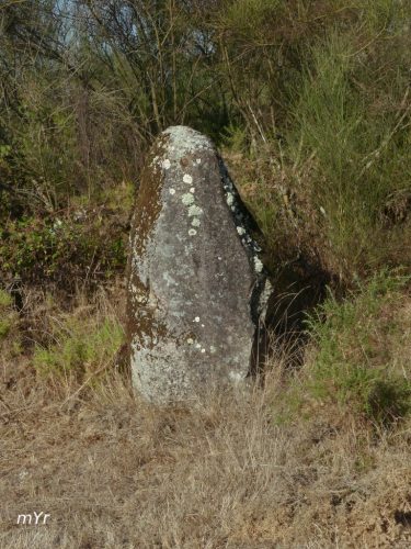 Menhirs o marcos Castrodá F2 Lugo Galicia