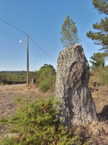 Menhirs o marcos Castrodá F1 Lugo Galicia