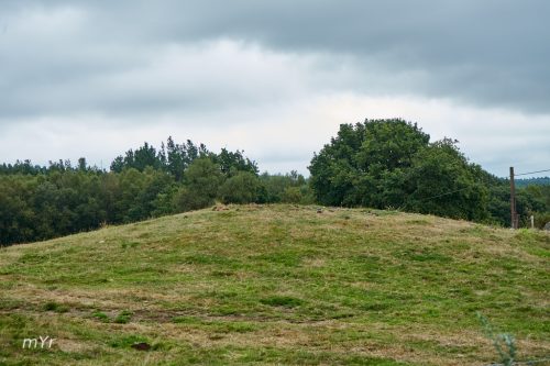 Nedropolis de Mamoas de Lousada Lugo Galicia
