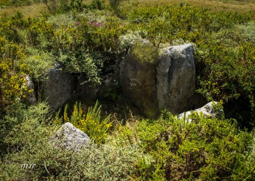 Dolmen-San-Cibrao1-F1-Berredo-Ourense Galicia