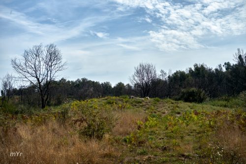 Dolmen da Medoña Moreiras F1 Toén -Ourense Galicia