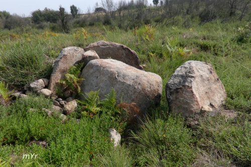 Dolmen da Medoña Moreiras F2 Toén -Ourense Galicia