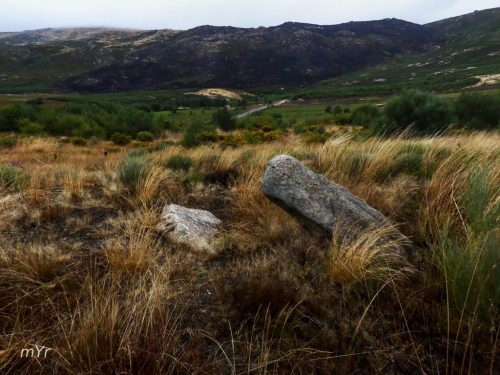 Mamoa da Cheira F2 Cualedro Ourese Galicia