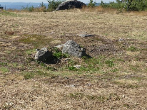 Mamoas de As Cabanas   Nogueira de Ramuin Ourense Galicia
