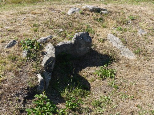 Mamoas de As M7 F2 Cabanas  Nogueira de Ramuin Ourense Galicia