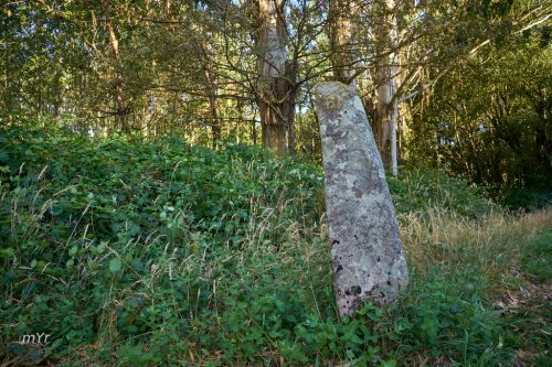 Menhir Pedrafita da Braña de Lagorzos O Irixo Ourense Galicia
