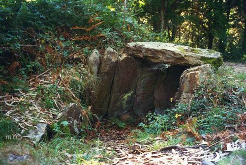 Dolmen-Chan-de-Armada F1-Marin-Pontevedra Galicia