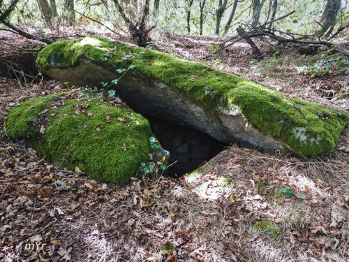 Dólmen Coto dos Mouros Alempaarte Rodeiro Pontevedra Galicia