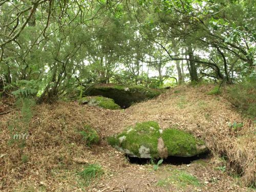 Dolmen-Couto-dos-Mouros-Rodeiro-Pontevedra Galicia