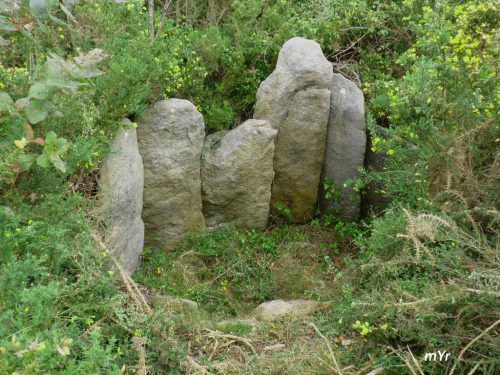 Dolmen-de-Campiños F1 Rianxo Pontevedra Galicia