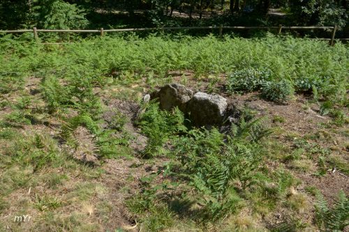 Mámoa das Lagucheiras 2 Marin Pontevedra Galicia