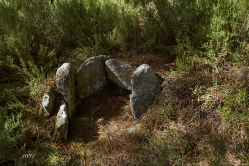 Mámoa das Namelas 3 Axiaz Agolada Galicia