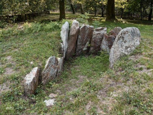 Dolmen-Chan-de-Armada F4-Marin-Pontevedra Galicia