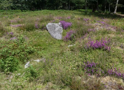 Mamoa de Cha de Castiñeiras M1 Marin Pontevedra Galicia