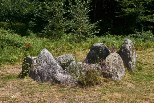 Mamoa de Cha de Castiñeiras M2 Marin Pontevedra  Galicia
