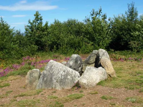 Mámoa de Chan de Castiñeiras 4-Vilaboa-Pontevedra Galicia