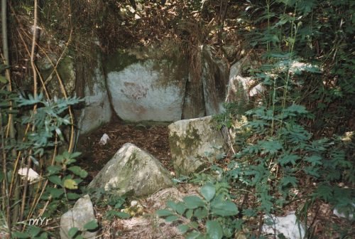 Mámoa de Costa Freiría Vigo Pontevedra Galicia
