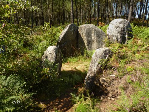 Mamoa-do-Rei-O-Vixiador F2-Redondela-Pontevedra. Galicia