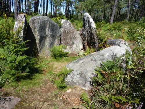 Mamoa-do-Rei-O-Vixiador F1-Redondela-Pontevedra. Galicia