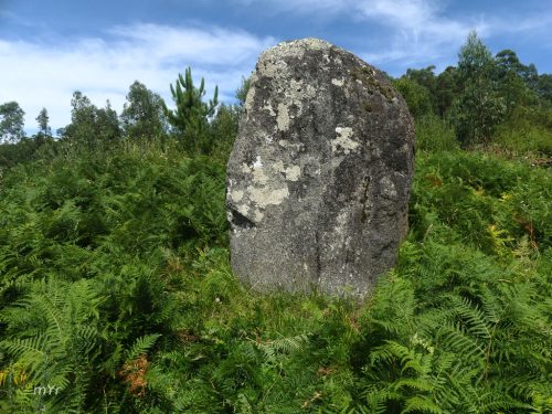 Menhir Pedrafita da Currás F2 Marín Ourense Galicia