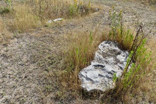Sepulturas campaniformes Humanejos F9 Parla Madrid
