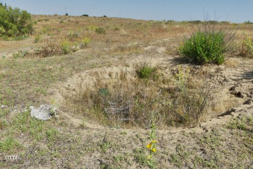 Sepulturas campaniformes Humanejos F12 Parla Madrid