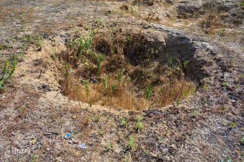 Sepulturas campaniformes Humanejos F1 Parla Madrid