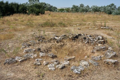 Sepulturas campaniformes Humanejos F4 Parla Madrid