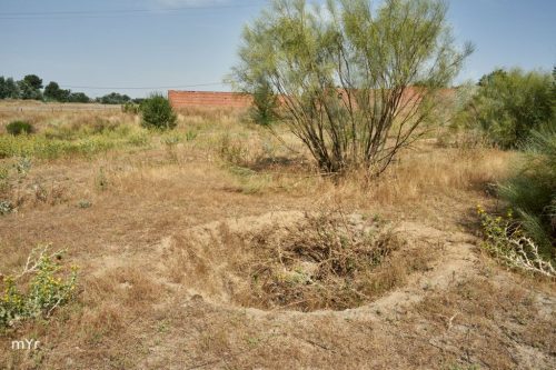 Sepulturas campaniformes Humanejos F11 Parla Madrid