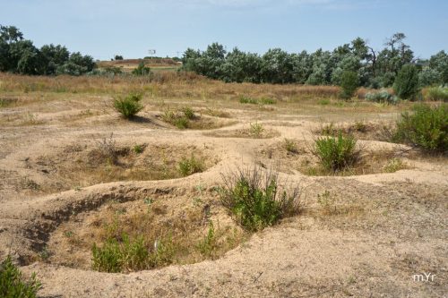 Sepulturas campaniformes Humanejos F7 Parla Madrid