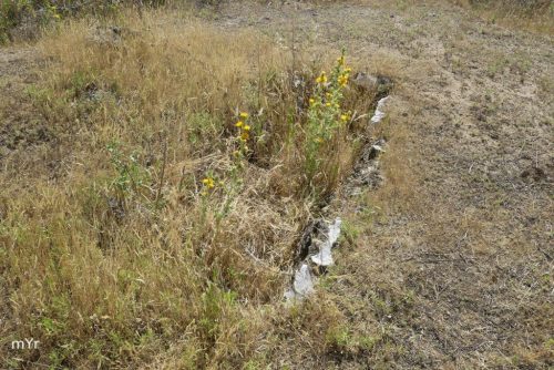 Sepulturas campaniformes Humanejos F8 Parla Madrid