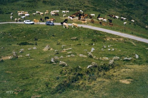 Cronlech Azpegui  Urkulu Irati Navarra